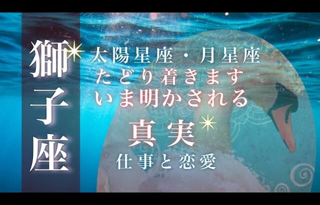 ♌️獅子座🌙8/1~8/31🌟誠実さと信頼関係 未来のために協力すること 今できることに力を注ぐ🌟しあわせになる力を引きだすタロットセラピー