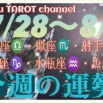 8月突入‼️【7/28〜8/3週間リーディング】天秤座♎️蠍座♏️射手座♐️山羊座♑️水瓶座♒️魚座♓️#2024 #タロット占い #星座別