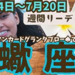 ❤️🕊️【さそり座♏さん】🌱《7月14日～7月20日》週間リーディング🌱2024年12星座別リーディング✨♠ルノルマンカードグランタブロー♠タロットカード・オラクルカードでもみていきましょう🔮蠍座運勢