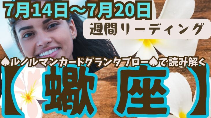 ❤️🕊️【さそり座♏さん】🌱《7月14日～7月20日》週間リーディング🌱2024年12星座別リーディング✨♠ルノルマンカードグランタブロー♠タロットカード・オラクルカードでもみていきましょう🔮蠍座運勢