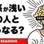 恋愛占い🪺✨関係が浅いお相手様🦄✨関係性が浅いあの人との今後の展開を全力タロット鑑定【タロット占い】お相手様との可能性やお気持ちなど詳細リーディング【３択占い】