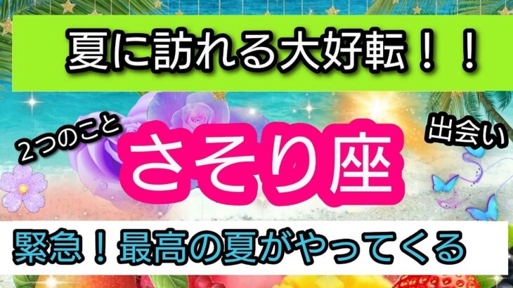 緊急！【蠍座】🌟2024年夏に訪れる大逆転！最高の夏がやってくる🌻幸せの展開💕星とカードでリーディング👑