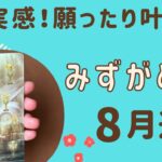 【水瓶座】2024年8月運勢♒️すごい幸福感‼️願ったり叶ったり✨✨たくさんの幸せを受け取る❗️