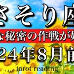 さそり座♏︎2024年8月前半 新たな秘密の大作戦が始まる　Scorpio tarot reading