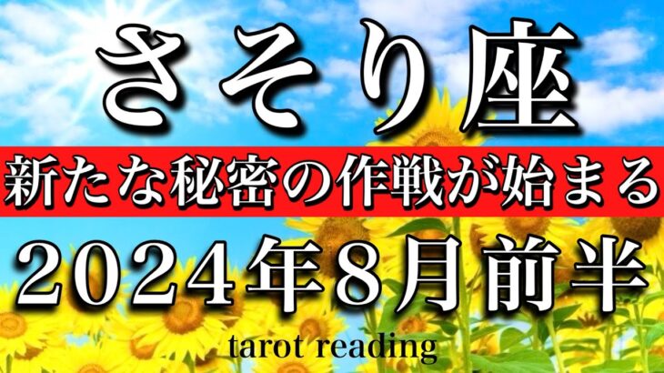 さそり座♏︎2024年8月前半 新たな秘密の大作戦が始まる　Scorpio tarot reading