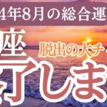 【魚座】2024年8月うお座の運勢大公開！魚座の運命の示す過去、現在、未来！