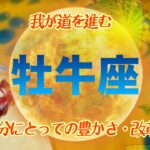 【８月✴︎牡牛座】軽やかに燃えていく🔥チャンスと信頼◎時々癒しながら進んでみて🕊✨【2024】