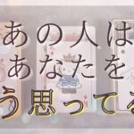 今あの人はあなたをどう思ってる？今あなたに伝えたいこと！【恋愛・気持ち・タロット・オラクル・占い】