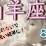 山羊座♑️ 【2024年8月】後半に向けて運気上昇↗️しっかり守護されてる夏到来🌻