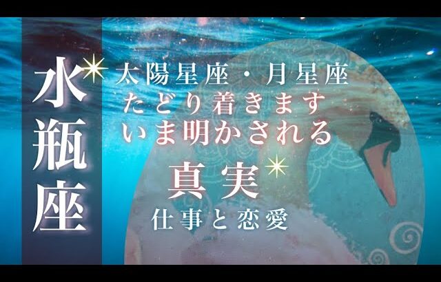 ♒️水瓶座🌙8/1~8/31🌟決意をもって現れる真実 向き合う時間 見えてける答え🌟しあわせになる力を引きだすタロットセラピー