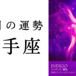 【射手座🌼8月の運勢】こんないて座さん見たことない😳人生第二章へ大きく漕ぎ出す！！2024年タロット占い