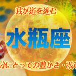 【８月✴︎水瓶座】内側からのメッセージ🤍✴︎🌙情熱を注いでいく人間関係🔥思いがけない吉報◎調和がテーマの時【2024】 1