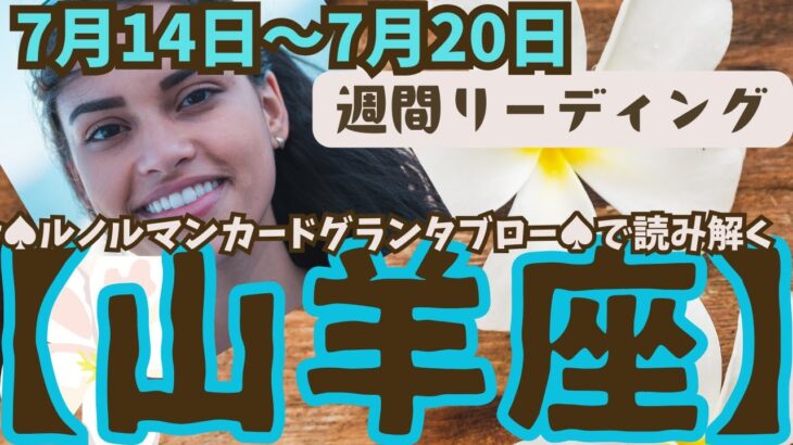 ❤️🕊️【やぎ座♑さん】🌱《7月14日～7月20日》週間リーディング🌱2024年12星座別リーディング✨♠ルノルマンカードグランタブロー♠タロットカード・オラクルカードでもみていきましょう🔮山羊座運勢