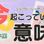 牡牛座♉️今あなたに起こっていることの意味💖そしてどんな未来になるもか？をコンパクトに占います😃🙌🌈🐼見た時がタイミング✨