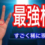 経験上、なかなか見られなかった手相を紹介