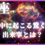 タロットと星座で見通す！魚座に近日中に訪れる奇跡の予兆とは？