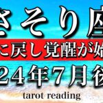 さそり座♏︎2024年7月後半 ゼロに戻し覚醒が始まる　Scorpio tarot reading