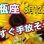 【水瓶座】 8月12日まで　天赦日を迎える　完璧　完全であることを知る　最高の個性