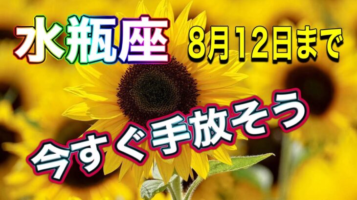 【水瓶座】 8月12日まで　天赦日を迎える　完璧　完全であることを知る　最高の個性