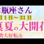 【水瓶座さんの運勢_8月1日～31日】 #水瓶座 #みずがめ座