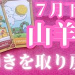 山羊座　７月下旬　大切なものが何かわかることであなたの輝きが取り戻されていく　さらに輝いていくための準備期間