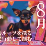 乙女座 おとめ座 2024年 8月 仕事 愛情 人間関係 夏休み タロットカード オラクルカード 易 占い