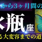 【水瓶座】7月の見た時から3ヶ月の運勢「わぁ✨良いカードがたっくさん！夢見る気持ちを大切に、幸せいっぱいの夏を謳歌して！」タロット＆オラクルカードリーディング