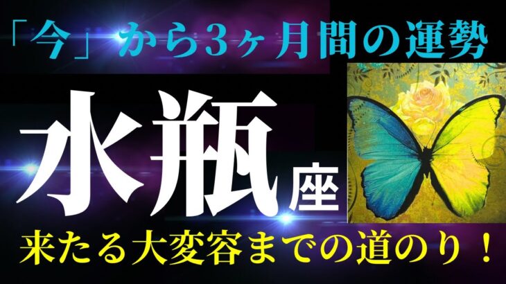 【水瓶座】7月の見た時から3ヶ月の運勢「わぁ✨良いカードがたっくさん！夢見る気持ちを大切に、幸せいっぱいの夏を謳歌して！」タロット＆オラクルカードリーディング