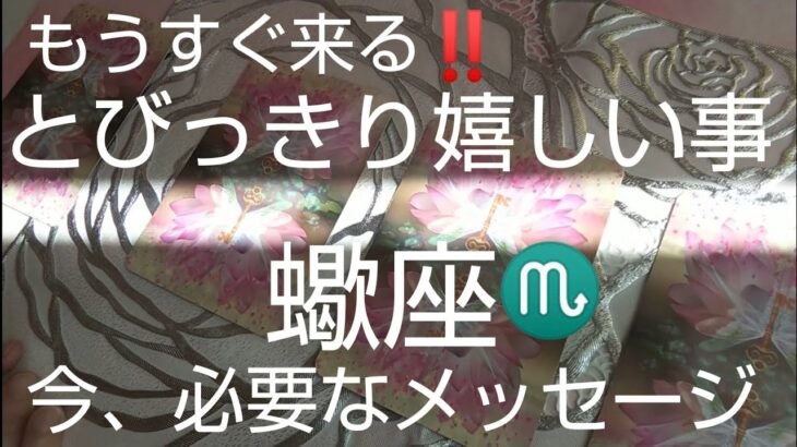 さそり座♏️【見た時がタイミング‼️】人生に起こる嬉しいメッセージ🌈#スピリチュアル #カードリーディング #占い #幸運 #オラクルカード #運命#女神#さそり座 #蠍座