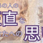 【✨恥ずかしがってないで全部言っちゃいなよ✨】あの人の今のあなたへの正直な思い 質問投げまくって深掘りしました　タロット スプレッドでリーディング✨