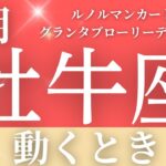 2024年9月【牡牛座】起こること～動くとき～【恐ろしいほど当たるルノルマンカードリーディング＆アストロダイス】