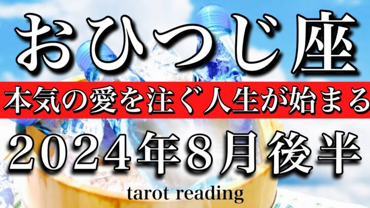 おひつじ座♈︎2024年8月後半　本気の愛を注ぐ人生が始まる　Aries tarot reading