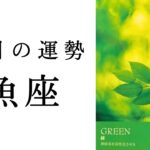 【魚座🌼8月の運勢】今まで辛かったうお座さんにこそ見てほしい🙏あなたはもう既に特別です✨2024年タロット占い