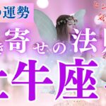 【牡牛座さん】9月の運勢と牡牛座さん引き寄せの法則🌈ヒントは新しい○○に気づくこと✨フェアリーナが優しく教える引き寄せの法則🍀【牡牛座 9月】【ドラゴンカード】