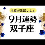 双子座♊️大どんでん返し！！！これまでの痛みも悔しさも全部バネにして成功と勝利を掴む９月全体運勢♊️仕事恋愛対人不安解消【個人鑑定級タロットヒーリング】