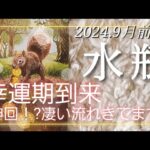 【９月前半🍀】水瓶座さんの運勢🌈神回！?幸運期到来✨✨凄いエネルギー、流れがきてます！！カードに圧倒されました💦