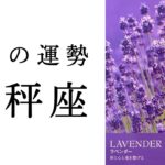 【天秤座🌿9月の運勢】涙なしには語れないストーリー🥹今めちゃくちゃ重要な時です！2024年タロット占い