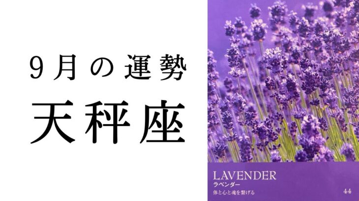 【天秤座🌿9月の運勢】涙なしには語れないストーリー🥹今めちゃくちゃ重要な時です！2024年タロット占い