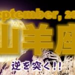 2024年9月【山羊座♑さん】真逆の発想で勝利!!