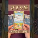 【さそり座】2024年8月後半の運勢★ダイジェスト〜勢いとスピードにのって物事が展開していく‼️