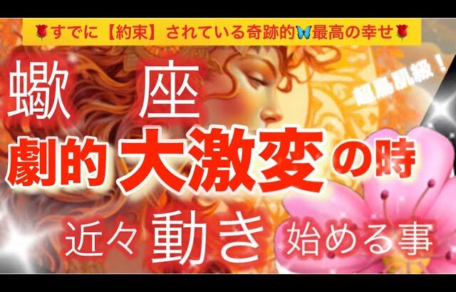 蠍　座🪐【超鳥肌級🦋今迄の努力がついに報われる😭】今がどんな状況でも一変する可能性あり❣️奇跡的幸福を引き寄せる⚡️運気上昇🌈深掘りリーディング#潜在意識#魂の声#ハイヤーセルフ