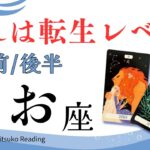 魚座9月【転生します】自分のために❗️我慢は終わりです❗️前半後半仕事恋愛人間関係♓️【脱力系タロット占い】