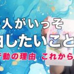 告白！あの人が言ってしまいたいこと☺️現状とあなたとの未来【男心タロット、細密リーディング、個人鑑定級に当たる占い】