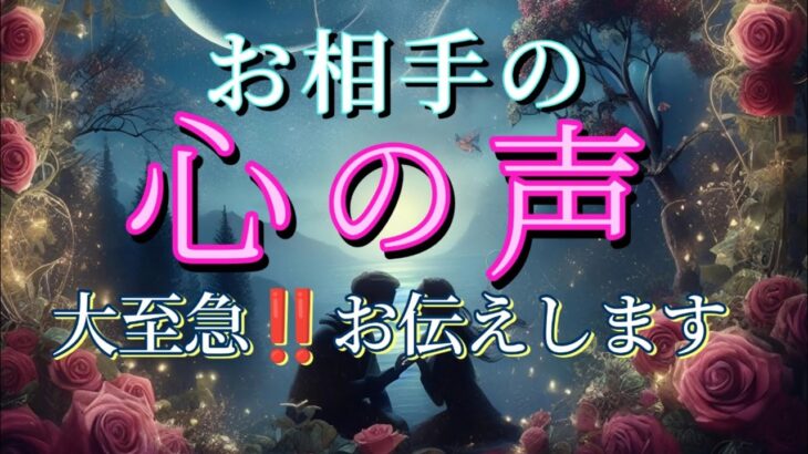 お相手の心の声😳大至急‼️お伝えします💗恋愛タロット