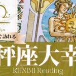 天秤座♎重大な決断をすることでストレスから解放される大幸運🌞もうすぐ訪れる大幸運🌞どんな大幸運が🌞いつ頃訪れる？🌝月星座てんびん座さんも🌟タロットルノルマンオラクルカード