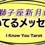 【タロット占い】獅子座新月に届いているメッセージ