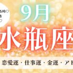 【運勢】人と仕事に恵まれる時♡本来のあなたを復活させよう💕9月水瓶座♒️仕事、お金、恋愛✨ルノルマン、タロット、オラクルカードリーディング