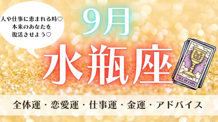 【運勢】人と仕事に恵まれる時♡本来のあなたを復活させよう💕9月水瓶座♒️仕事、お金、恋愛✨ルノルマン、タロット、オラクルカードリーディング