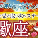 蠍座9月🌕あなたがNo.1になる時が来ました🥇運命の大転機❗️仕事運・人間関係運・恋愛運・金運・全体運［タロット/オラクル/ルノルマン］