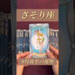 【さそり座】2024年9月後半の運勢★ダイジェスト〜気づいてください！あなたにとっての成功への道へ歩き出すのは今です‼️